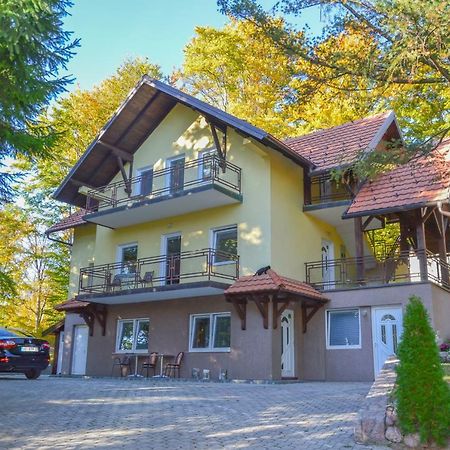 Vila Savinka Zlatibor Dış mekan fotoğraf