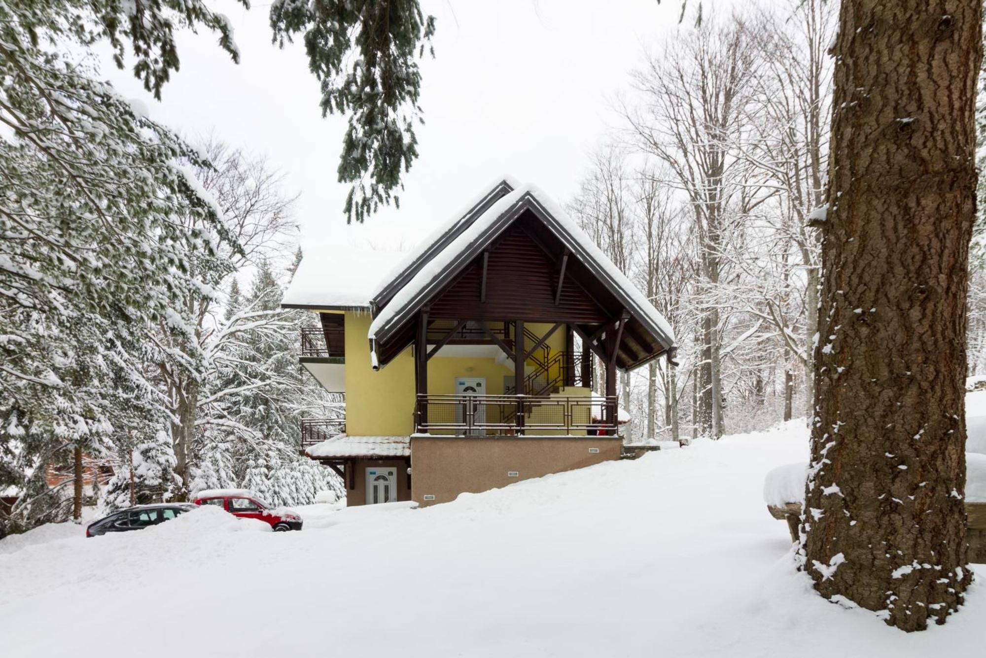 Vila Savinka Zlatibor Dış mekan fotoğraf