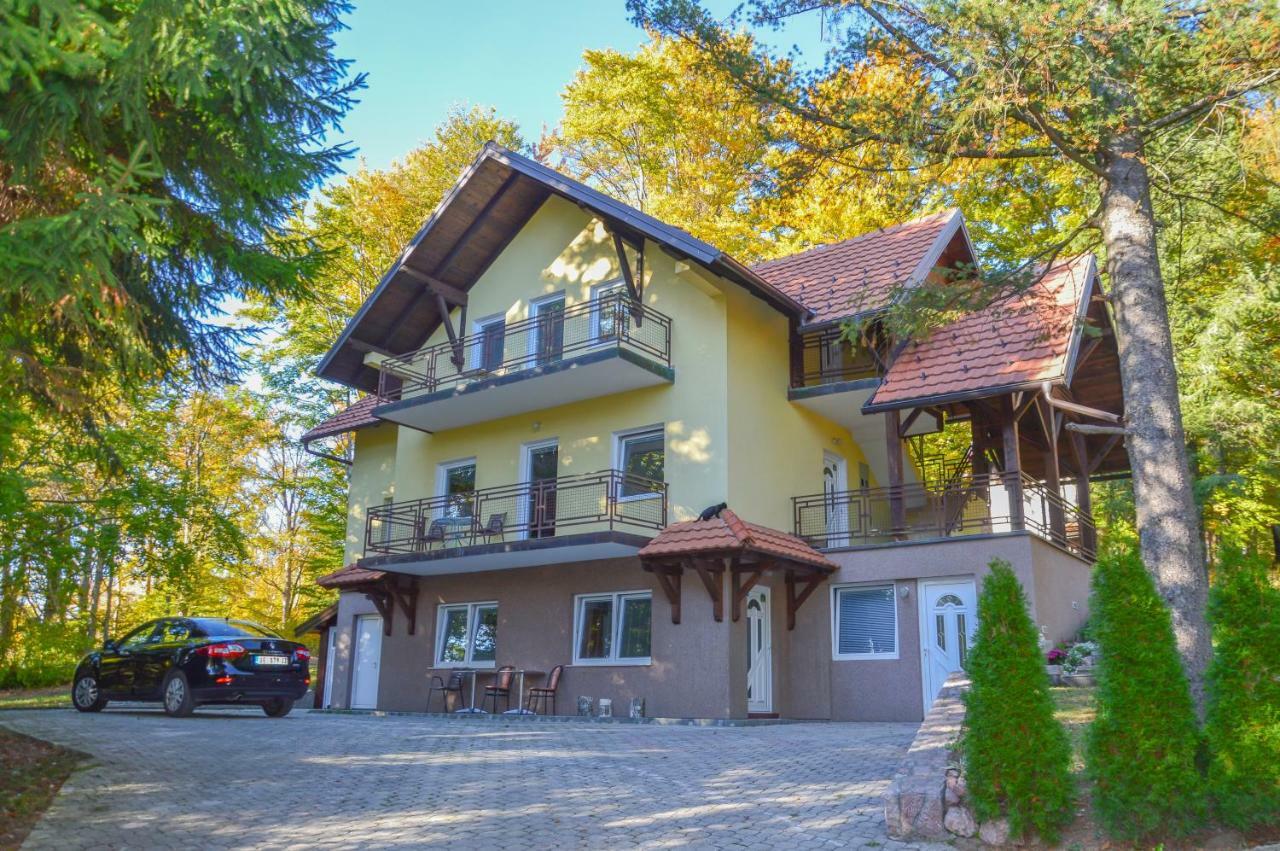 Vila Savinka Zlatibor Dış mekan fotoğraf