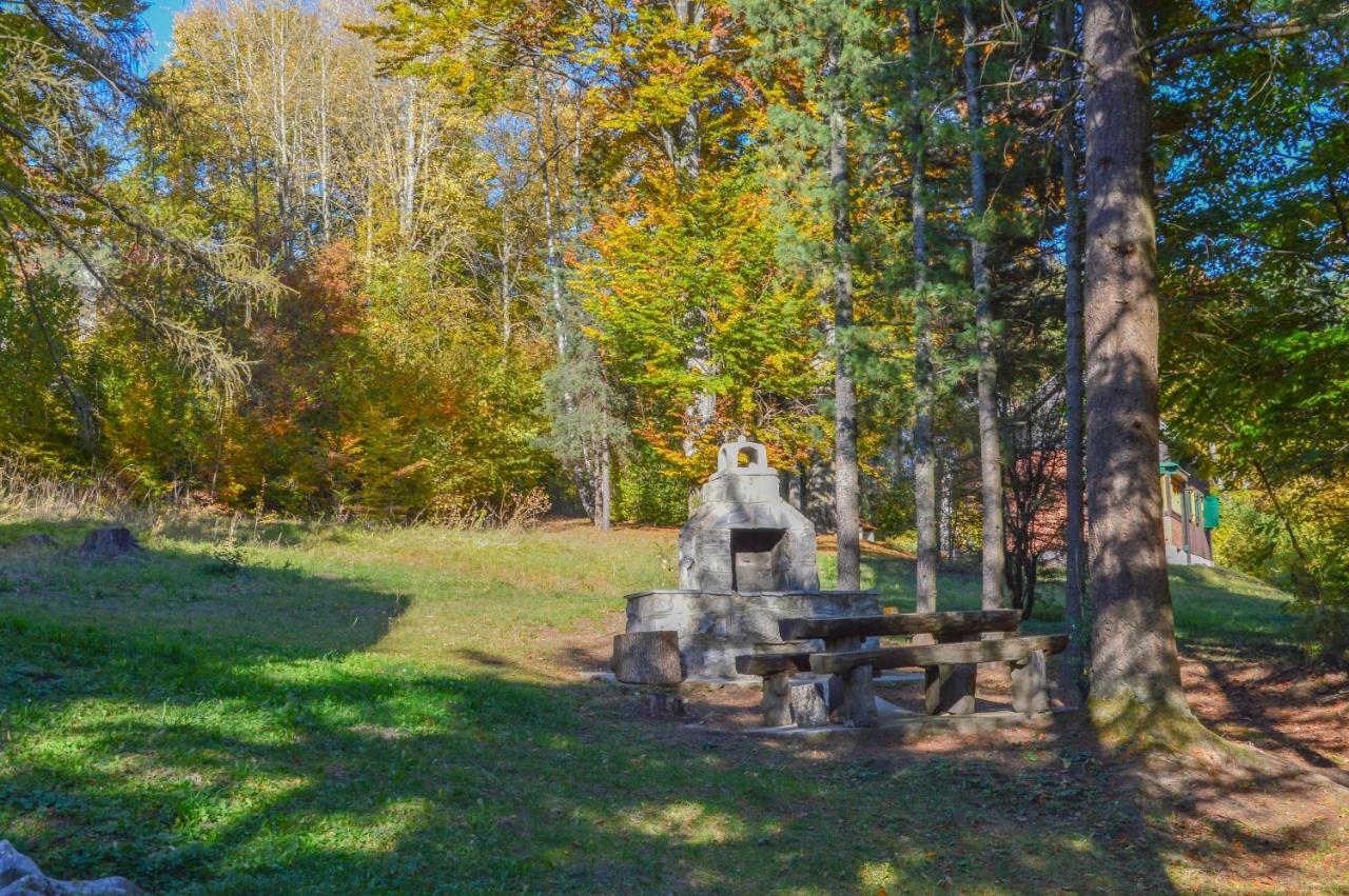 Vila Savinka Zlatibor Dış mekan fotoğraf